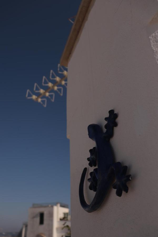 B&B Salentus Gallipoli Exteriér fotografie
